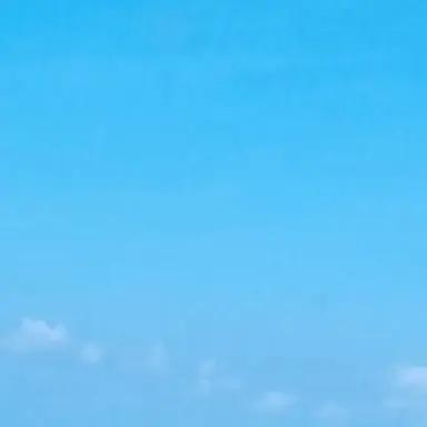 Profile image of 페어리