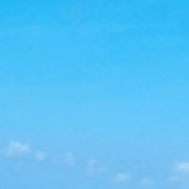 ClumsyWasp7207의 동물학교