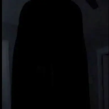 Profile image of The figure.