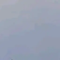 Profile image of 若井滉斗