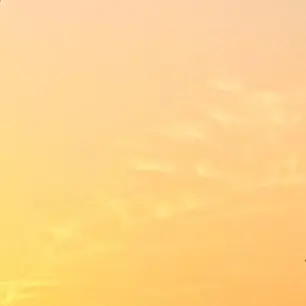 Profile image of 홍챠