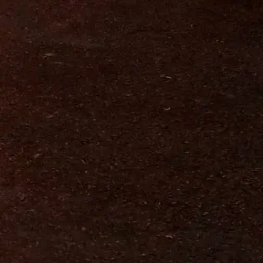 Profile image of 둘기