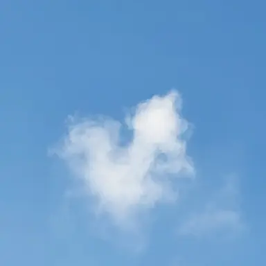 Profile image of 정시연