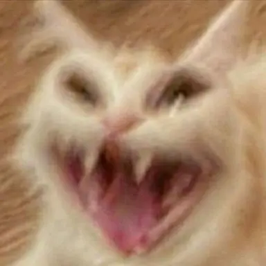 Profile image of 여우