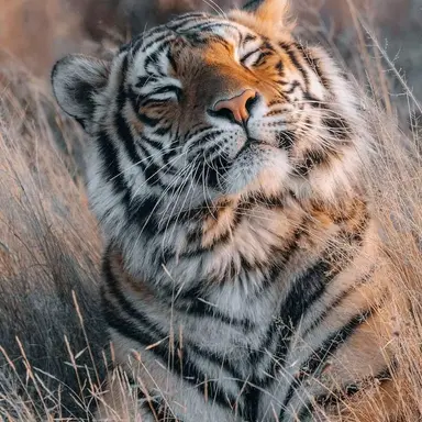 Profile image of Taehyung