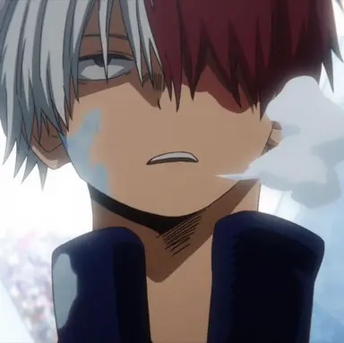 Profile image of Shoto Todoroki