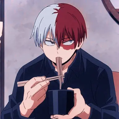 Profile image of Shoto Todoroki
