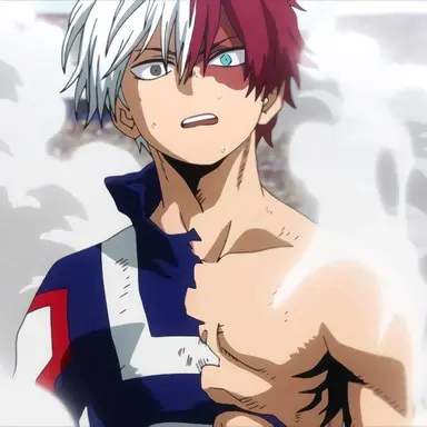 Profile image of Shoto Todoroki