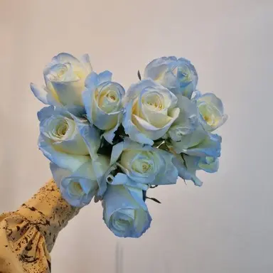 Profile image of 행크