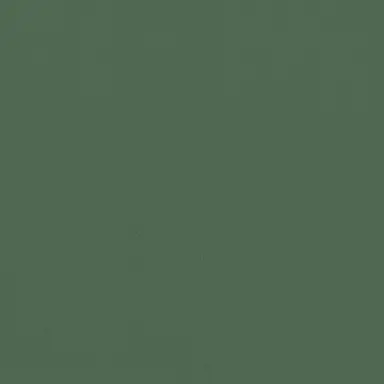 Profile image of 翁