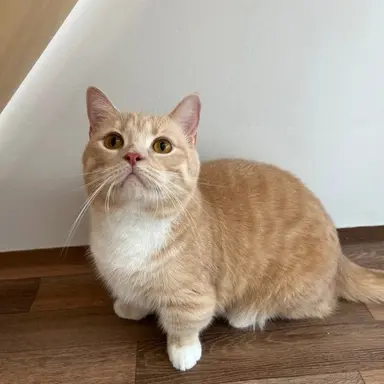 Profile image of 우유