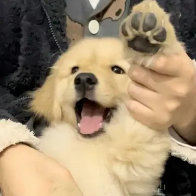 Profile image of みんぎゅ