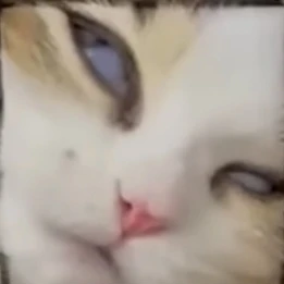 더워