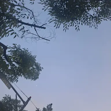 Profile image of 강새론