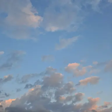 Profile image of 진이담