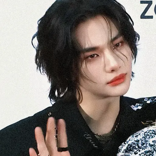handoolsetnet의 황현진