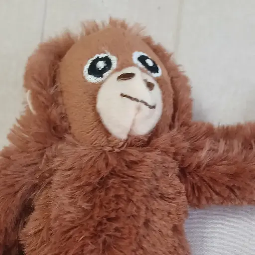SleepyRaw6021의 깜찍한 오숭이🐵
