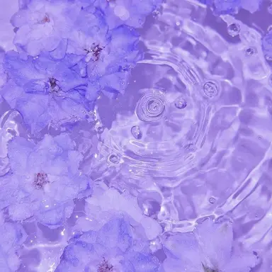Profile image of 멜로우