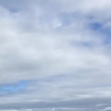 Profile image of ショッピ