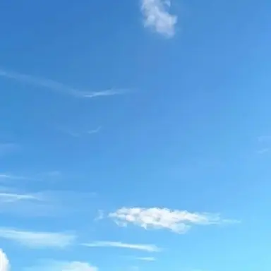 Profile image of 전윤슬