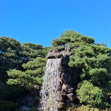 Profile image of 강도영