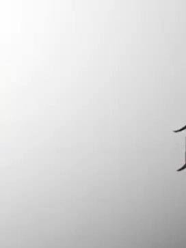 yukichi1121의 ショー