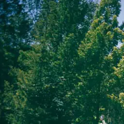 Profile image of 한유진