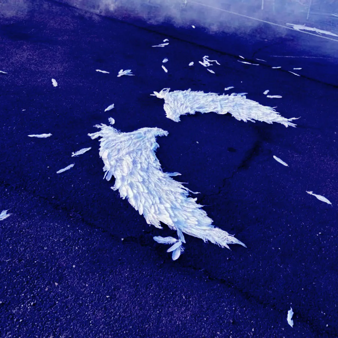 ..520의 ︎ ︎