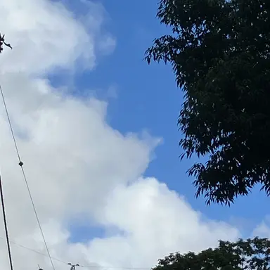 Profile image of サツマカワと柚彦