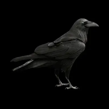 Profile image of 049