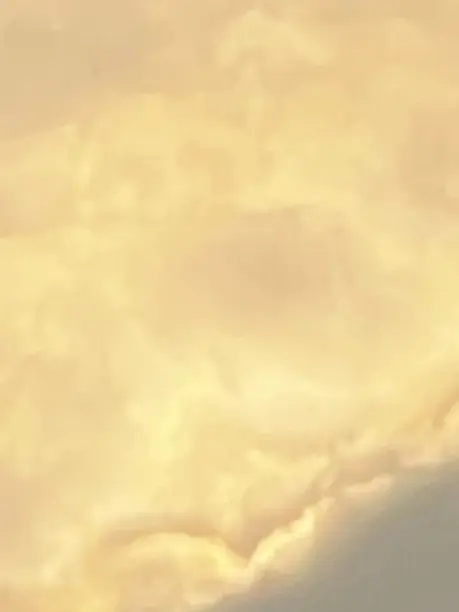 Jingburgerislove의 어려진 징버거