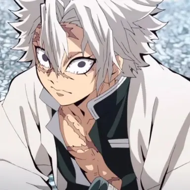 Profile image of 시나즈가와 사네미