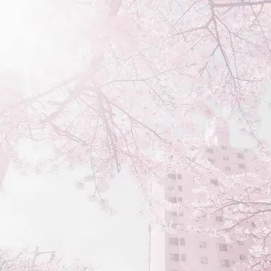 Profile image of もとき