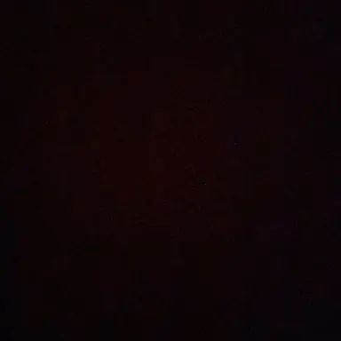 Profile image of 공룡