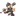 루시