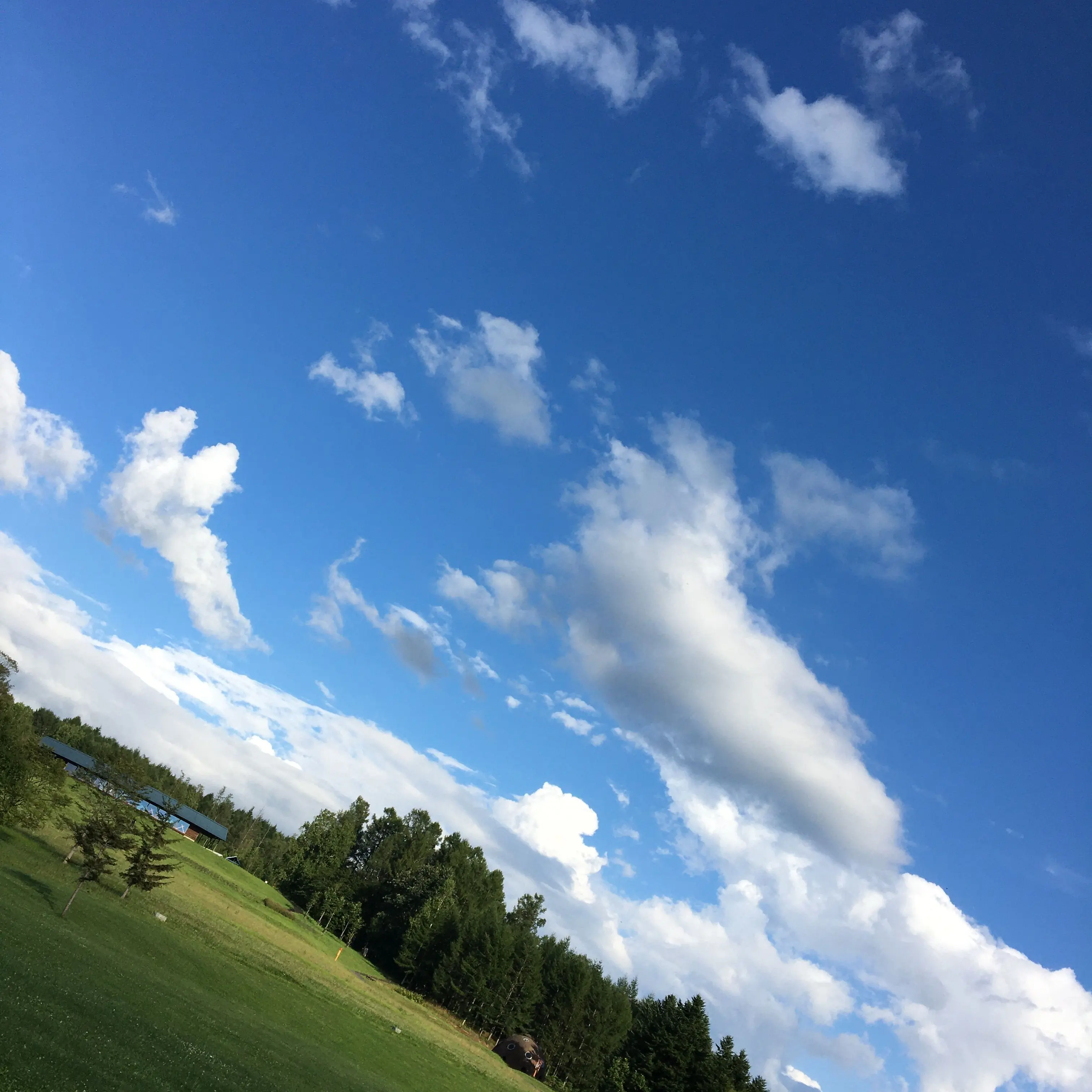 MIRAI0224의 ドリームテール☆