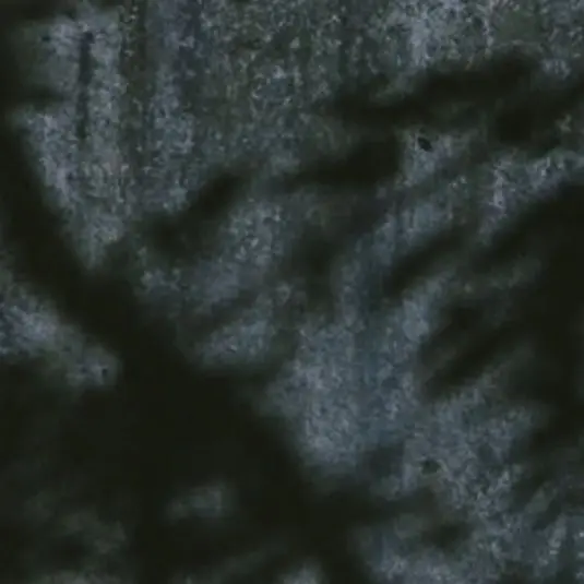 Shfusv0801x의 FBI　スンミン