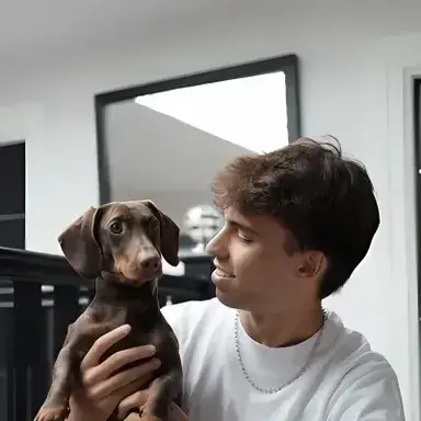 Profile image of Joao