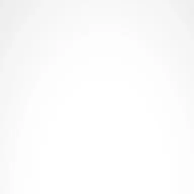 Profile image of 마에다 리쿠