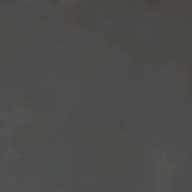 Profile image of 정재현