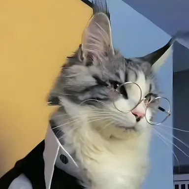 Profile image of 原