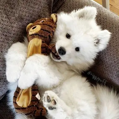 Profile image of 吉野