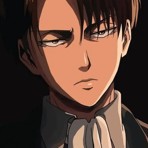 PorousCry9466의 Levi Ackerman