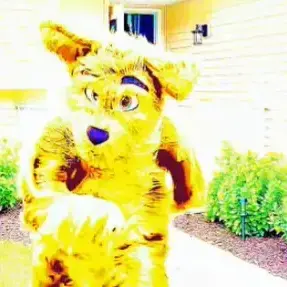 Profile image of Huss Dog
