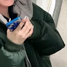 백지헌