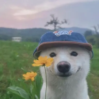 Profile image of 려운