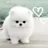 아가별