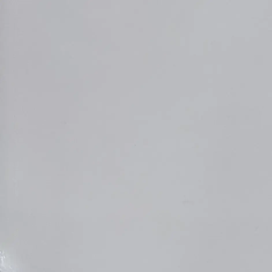 RunnySage0306의 氷の上の彼たち