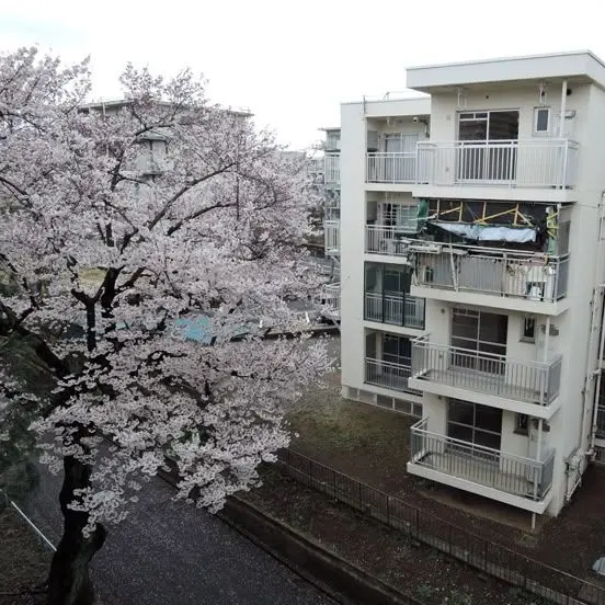 JuicePack-의 옆집 오빠