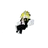 하울